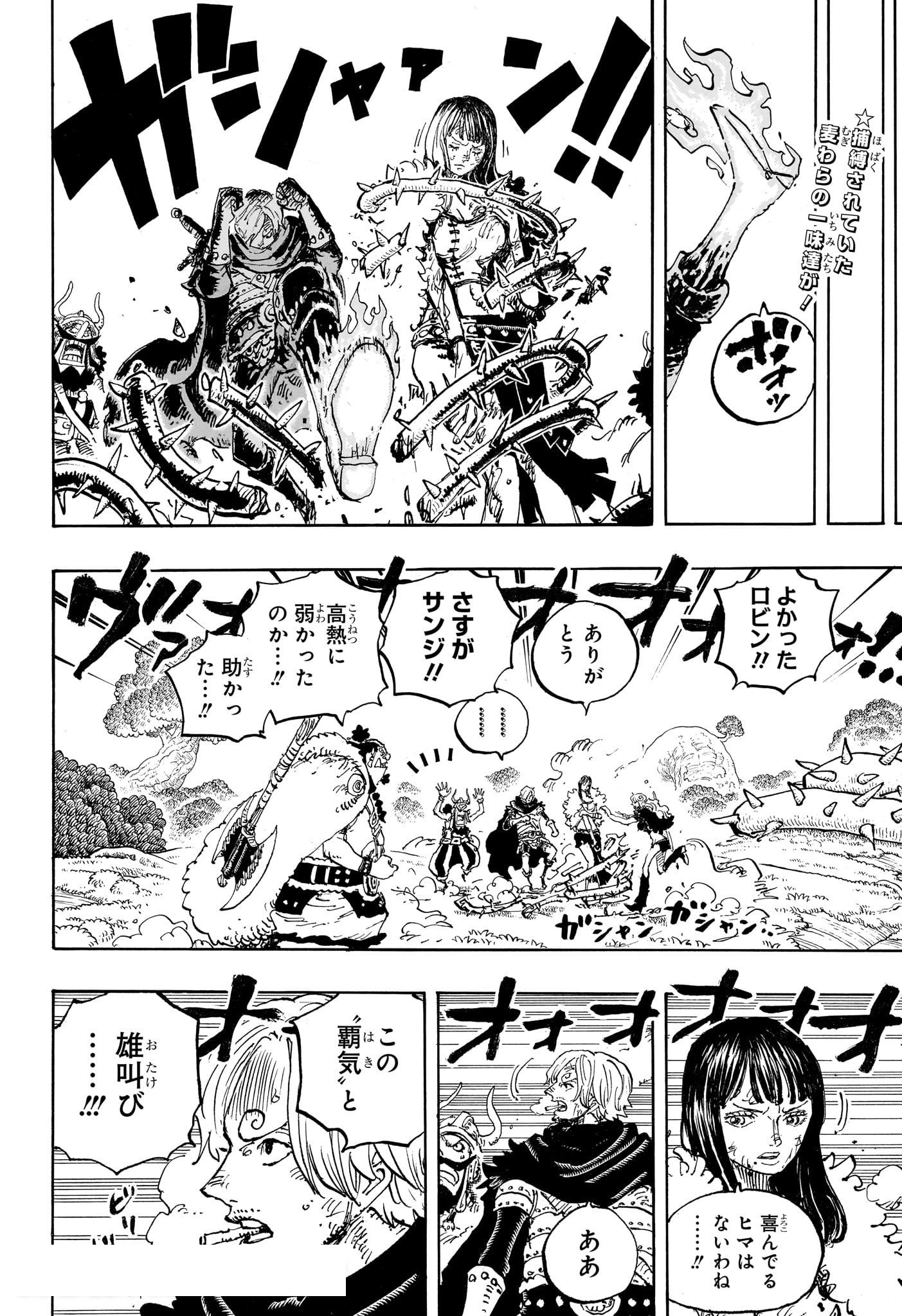 ワンピース Raw ( One Piece Raw ) 第1175話